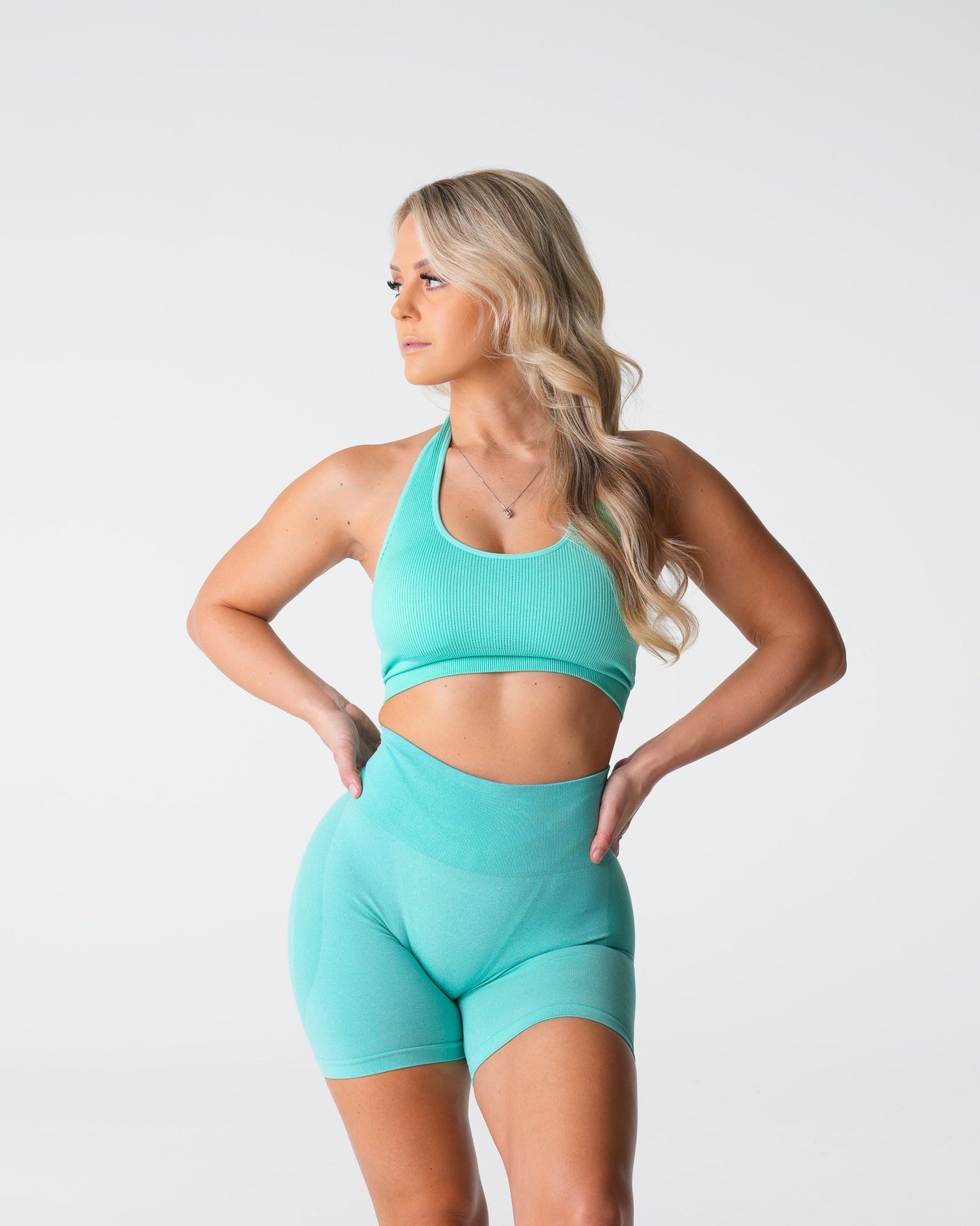 Women Mint Limitless Ribbed Seamless Halter Bra - NVGTN