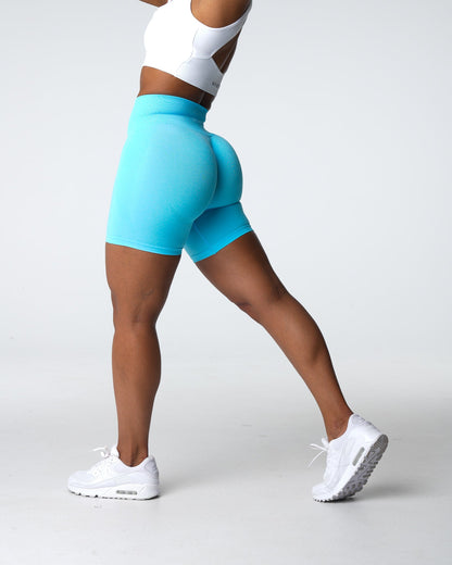 Women Aqua Contour Seamless Shorts - NVGTN