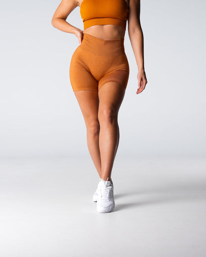 Women Terracotta Performance Seamless Shorts - NVGTN